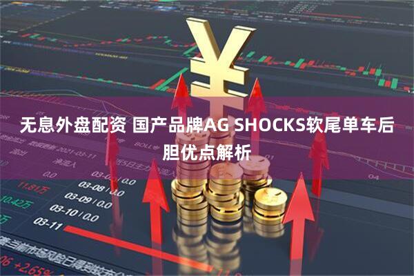 无息外盘配资 国产品牌AG SHOCKS软尾单车后胆优点解析